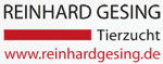 www.reinhardgesing.de