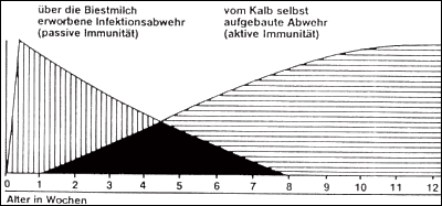 Immunit&auml;t