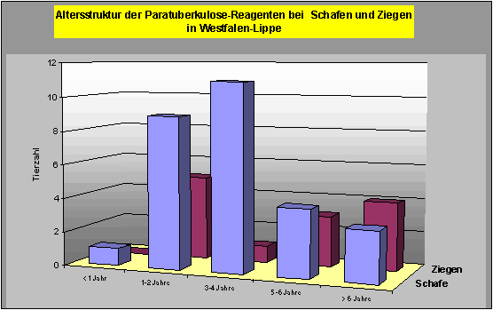 Paratuberkulose
