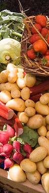 Obst, Gemüse und Kartoffeln