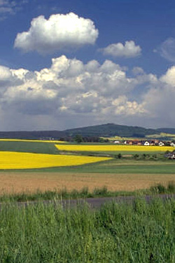 Landschaft im Sauerland