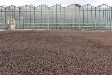 Fotorundgang 11 / 2025 Straelen