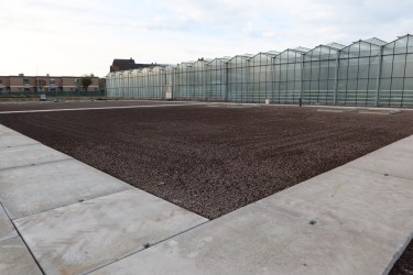 Fotorundgang 11 / 2025 Straelen