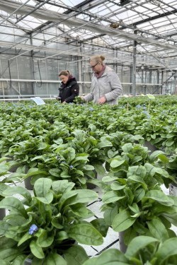 Fotorundgang 01 / 2026 Straelen