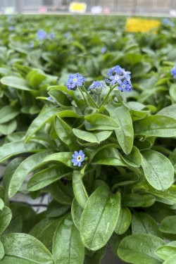 Fotorundgang 01 / 2026 Straelen