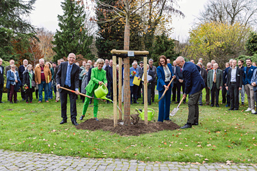 Baumpflanzung in Essen