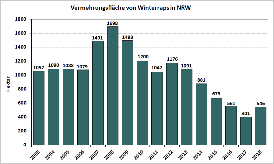 Vermehrungsfläche von Winterraps in NRW 2018