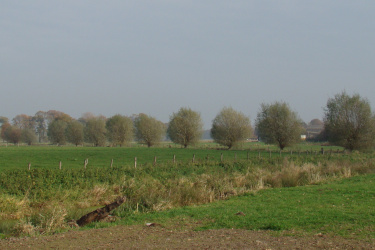 Sonstige Maßnahmen in der Feldflur