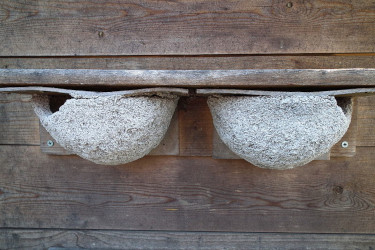 Maßnahmen auf der Hofstelle