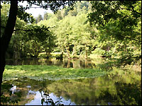 Alme, Stadt Brilon, Hochsauerlandkreis