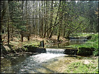Berlebeck - Hirschsprung