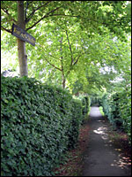 Eicherscheid - Grüne Gasse