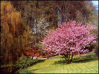 Kalldorf