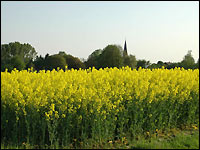 Keppeln
