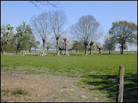 Waurichen