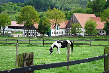 Eschenbruch, Stadt Blomberg, Kreis Lippe