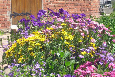 Hagedorn, Stadt Steinheim, Kreis Höxter