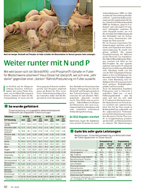 Weiter runter mit N und P