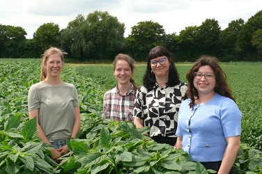 Plantein_Projektbeteiligte