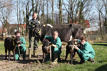 Drillingsgeburt auf Haus Düsse