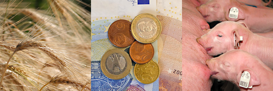Seminar Jungunternehmer