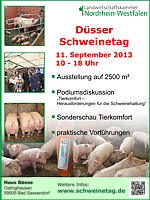 Schweinetag 2013