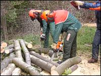 Landschaftspfleger in Aktion