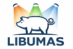 Logo Projekt LIBUMAS
