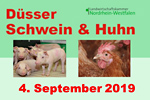 Düsser Schwein & Huhn 2019