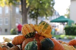 Düsser Bauernmarkt 2026