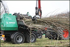 Aufbereitung von vorgetrockneten Stämmen