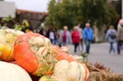 bauernmarkt_2019_039.jpg