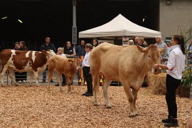 Düsser Bauernmarkt 2022