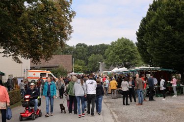 Düsser Bauernmarkt 2022