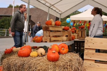 Düsser Bauernmarkt 2022