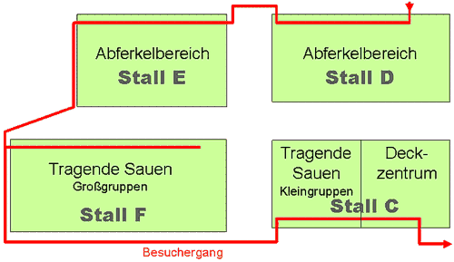 Sauenställe