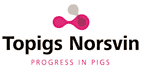 www.topigsnorsvin.de