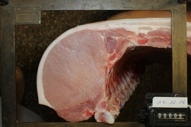 33 - Versuchsstall für Mastschweine (VT)