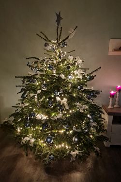 Weihnachtsbaum