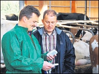 Beratung im Rinderstall