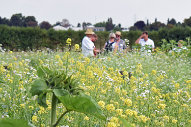 Die Gruppe im Acker