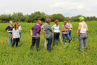 Erfahrungsaustausch zur Biodiversität auf einem Feldtag