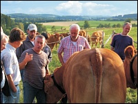 Diskussion auf der Kuhweide