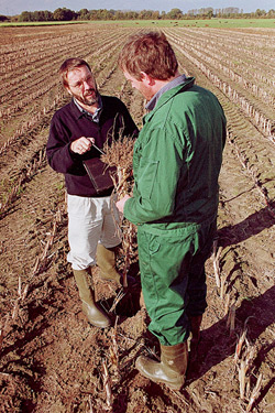 Sachverständiger auf dem Feld