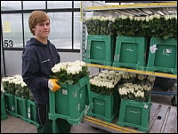 Auszubildender im Gartenbau