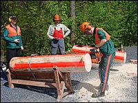 Landesentscheid im Berufswettbewerb 2009