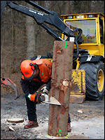 Landesentscheid NRW im Berufswettbewerb 2013