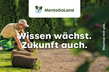 Postkarte Wissen wächst