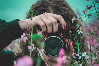 Pflanzenfotografie