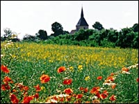 Dorf und Mohnfeld